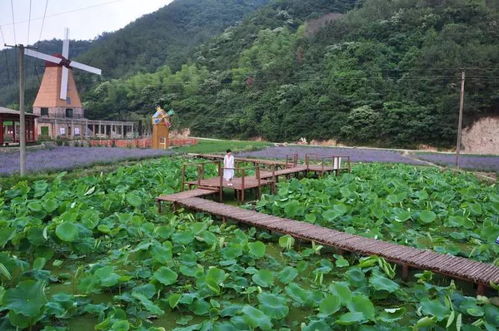 义乌旅游景点有哪些景点