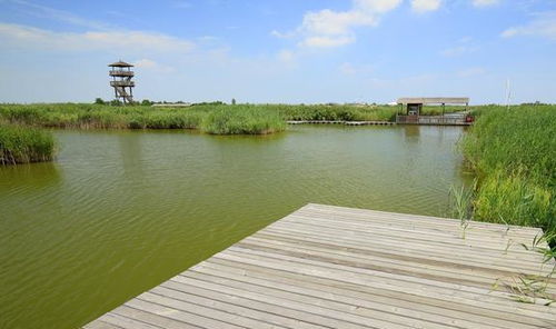 浙江夏天避暑旅游地方在哪