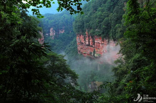 逐绿前行，绘就文体旅融合新篇章——重庆市江津区四面山景区的创新发展之路