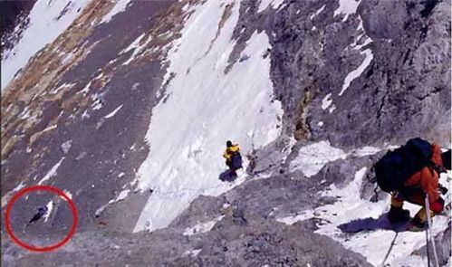 巴黎圣母院遭遇大火 你心目中的诗与远方,现在还好吗