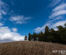 初夏光景阿尔山的自然画卷