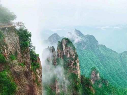 五指峰乡人大绘就绿水青山与金山银山的和谐画卷