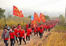 灵山荔枝文化旅游节迎接八方宾朋，共襄盛夏盛宴