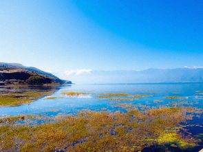 苍山洱海，人间仙境的画卷