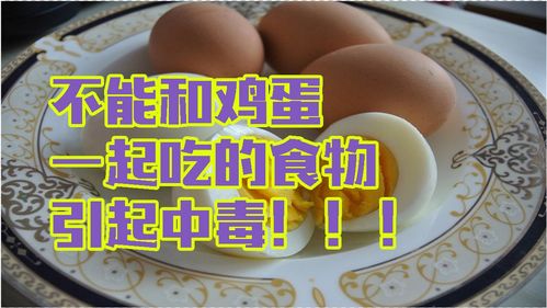 鸡蛋不能和什么同食相克