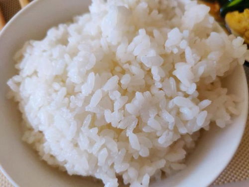 🍚电饭锅也能变魔法！教你如何用小红书体做出超美味的蒸米饭🍚