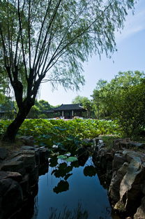 穿越古典园林，浸润苏州温泉的诗意之旅——探秘姑苏私家温泉会所的独特魅力