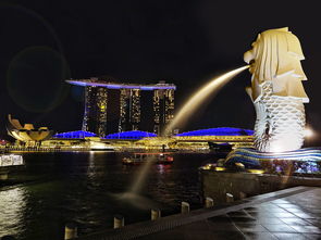 厦门浪漫之旅，探寻海风之城的五星级景点指南