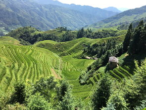 穿越山水间，临沂直飞桂林，机票攻略与旅行指南