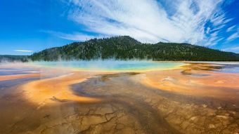 探秘北国风光揭秘东北旅游团的性价比与精彩旅程