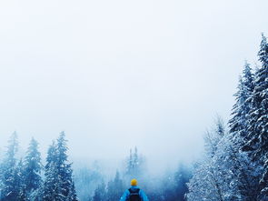 探秘奇峰异石，张家界旅游管家带你深度游——走进张家界的世界