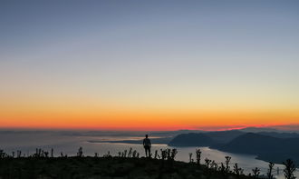 探秘巨野，醉美风光带你穿越时空的旅行笔记