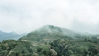 探秘边境风情，丹东，鸭绿江畔的瑰宝