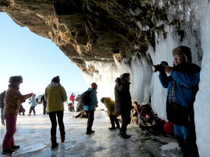 哈尔滨贴心旅游管家星星，解锁冰雪之都的温暖之旅