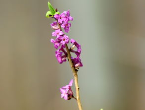 赵雅芝中秋送祝福，与头条网友共赏明月快乐时光