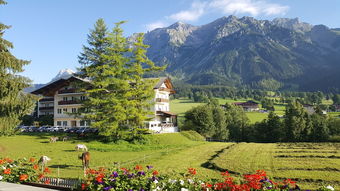 五指山隐秘之旅，揭秘山林间的奢华住宿体验