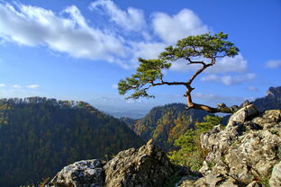 行走的风景，揭秘全球十大隐藏旅游胜地，开启你的秘境之旅