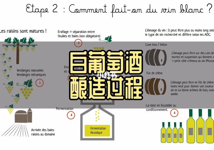 葡萄酒的制作方法家常做法家庭版