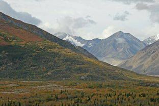 探秘鼎湖山，自然之韵与文化之旅的完美交响