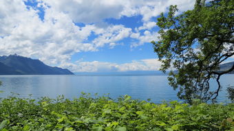 探秘青海的蓝色宝石，环游梦幻湖泊的旅行日记