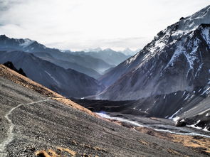 山东旅游必去景点推荐，穿越千年文化，探索齐鲁大地的绝美风情