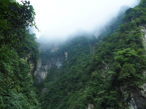 探秘华夏脊梁中国十大名山，每一座都是自然与文化的双重绝响