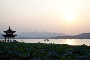 杭州西湖，一湖映千古，诗画中的慢旅行全攻略