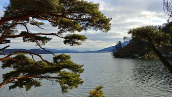 济宁小北湖，遗落水乡的珍珠，探寻济宁的宁静之美