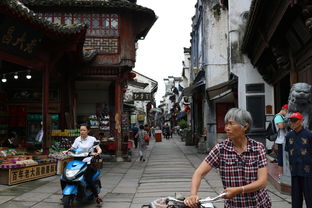 西安市附近免费景区探索，穿越千年历史的徒步之旅