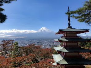 探索世界的每一个角落——从携程旅行网开始