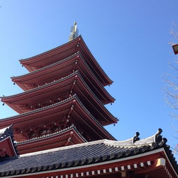 从火山到海港的多元之旅