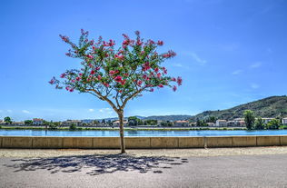 寿光仓圣公园，在绿色海洋中寻找古代智慧