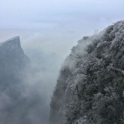 张家界十大必去景点，探索大自然的鬼斧神工