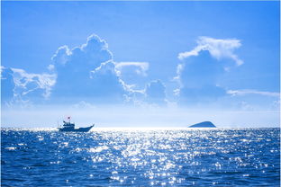 七八月份去青岛，享受夏日里的海洋盛宴