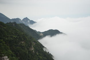 大觉山漂流，夏日清凉之旅的极致体验