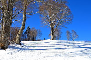 沈阳怪坡国际滑雪场