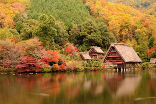 桂林山水甲天下——桂林旅游景点大全景点排名榜