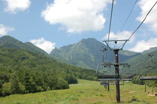 山西包车游带司机，让旅途更轻松，风景更迷人