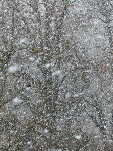 济南大暴雪背后的故事，一场雪与大明湖的壮丽交汇